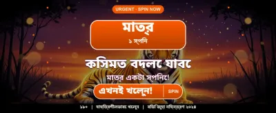 সেরা ক্যাসিনো গেমিং অভিজ্ঞতা banner